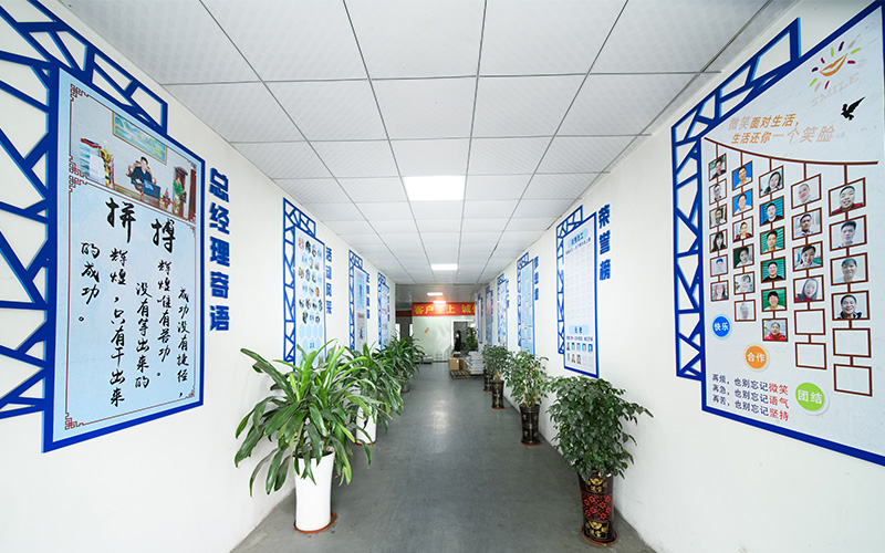 公司展示
